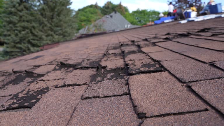 Best Commercial Roofing Services  in New Kensington, PA